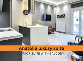 Zdjęcie hotelu: #SKGH Anatolia & Amaryllis suites -NearHELEXPO