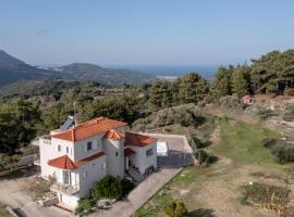 Hotel fotografie: Samos Villa With Pool