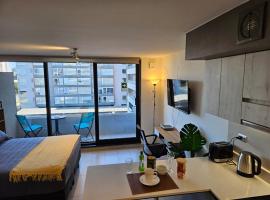 Apartamentos Bauerle Curitiba, ξενοδοχείο σε Τεμούκο