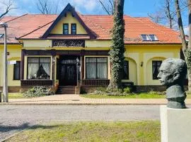 Villa Hotel, hotel in Debrecen