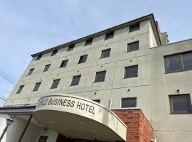 World Business Hotel, hotel en Iida