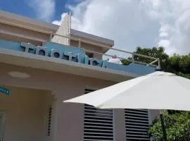 Casa de Tortuga Guesthouse, hotell i Vieques