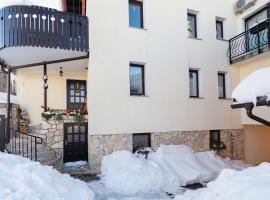 Hotel Foto: Apartments with a parking space Delnice, Gorski kotar - 20297