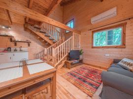 Zini House, hôtel à Ein Zivan