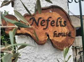Хотел снимка: Nefeli's country house
