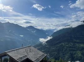 Hotel foto: Chalet Mouflon