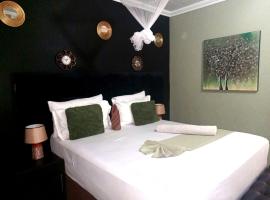 The New Mall Guesthouse, hotel din Maun