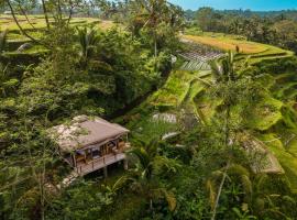 Gambaran Hotel: Nadi Nature Resort - Adults Only