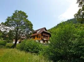 Hotel Gasthaus Hirschen Todtnau Brandenberg Hochschwarzwald Feldberg