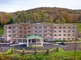 Courtyard by Marriott Oneonta, מלון באונאונטה