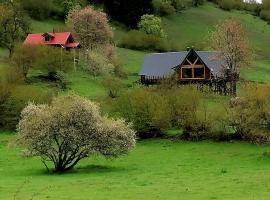 Gambaran Hotel: Süllü Dağ Evi