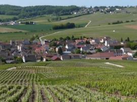 صور الفندق: La Longère de Vin'Ay