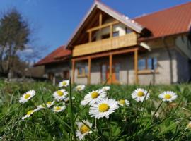 Hotel Photo: Wandertraum Johann - FeWo Eifel