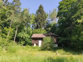 Gambaran Hotel: Waldhaus auf dem Randen, Kanton Schaffhausen