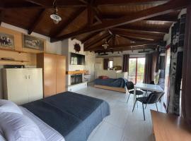 Hotel kuvat: Country Lux Apartment near Airport