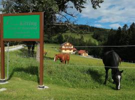 Фотография гостиницы: Urlaub am Bauernhof Familie Kitting