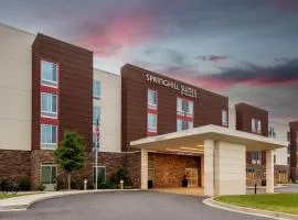 SpringHill Suites Atlanta Alpharetta/Roswell، فندق في روزويل