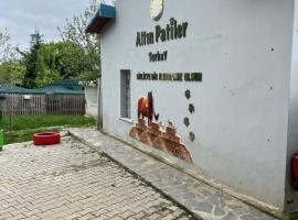 A picture of the hotel: Golden Paws Guesthouse