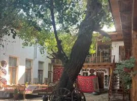 Hotel Legende