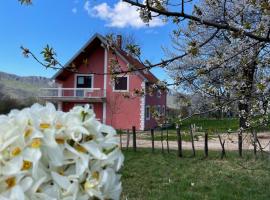 A picture of the hotel: Countryside Guest House