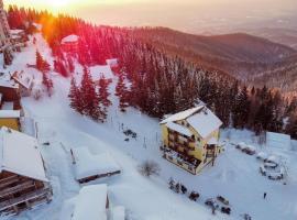 Hotel Muntele Mic, готель у місті Borlova