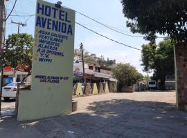 होटल की एक तस्वीर: Hotel Avenida