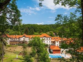 Erzsébet Park Hotel, hotel in Parád