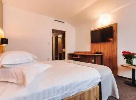 Hotel Domnitei