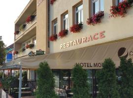 Foto di Hotel: Hotel Morava