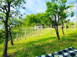 Hotel foto: Mini hiška v objemu vinograda