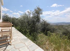 होटल की एक तस्वीर: Little house in the olive grove