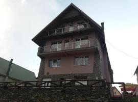 Pensiunea Brandusa, Hotel in Ranca