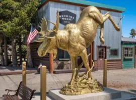 The Bucking Moose
