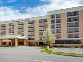 Фотография гостиницы: Comfort Inn & Suites Watertown - 1000 Islands