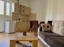 Apartment Jovana, Hotel in Herceg Novi