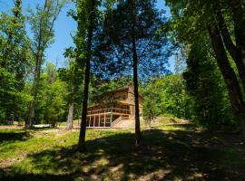 Hotel fotoğraf: Livin The Dream Log Cabin