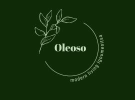 酒店照片: Oleoso