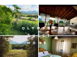 酒店照片: Olympus Guest Home