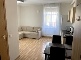 Hotel Photo: Cozy apartment near the city center, Lembitu