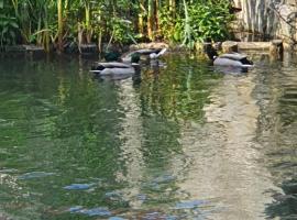 Hotel Photo: Les berges du moulin