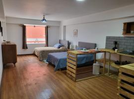 Gambaran Hotel: Espaciosos y lindos mini apartamentos