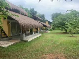 Web of Life Resort Wasgamuwa