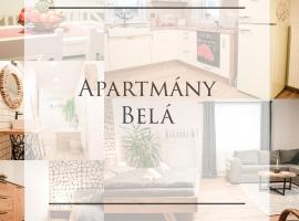 होटल की एक तस्वीर: Apartmány Belá