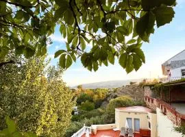 Villa Ignacia B&B - Serenity in Nature between Ronda & Setenil de las Bodegas