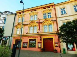A picture of the hotel: Hotel Morava
