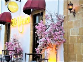 Hotel Photo: NAGAS Boutique Hotel & Restaurant at at Historical Part of Nicosia