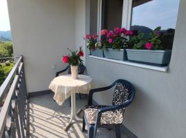 Hotel Photo: Apartman Mir