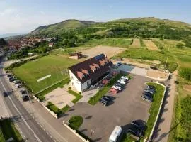 Martini Restaurant & Cazare