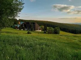 Hotel Tetřeví Boudy