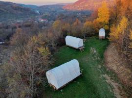 Ξενοδοχείο φωτογραφία: Căruța Timocanului